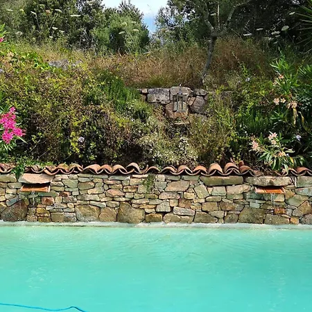 Villa Maison De Caractere Avec Piscine Sartène